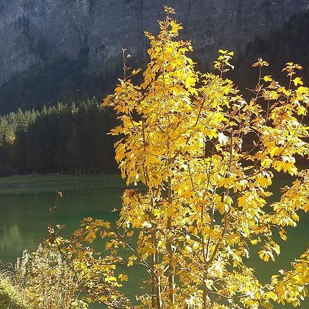 Logis Hotel Les Sapins Montriond Exterior foto