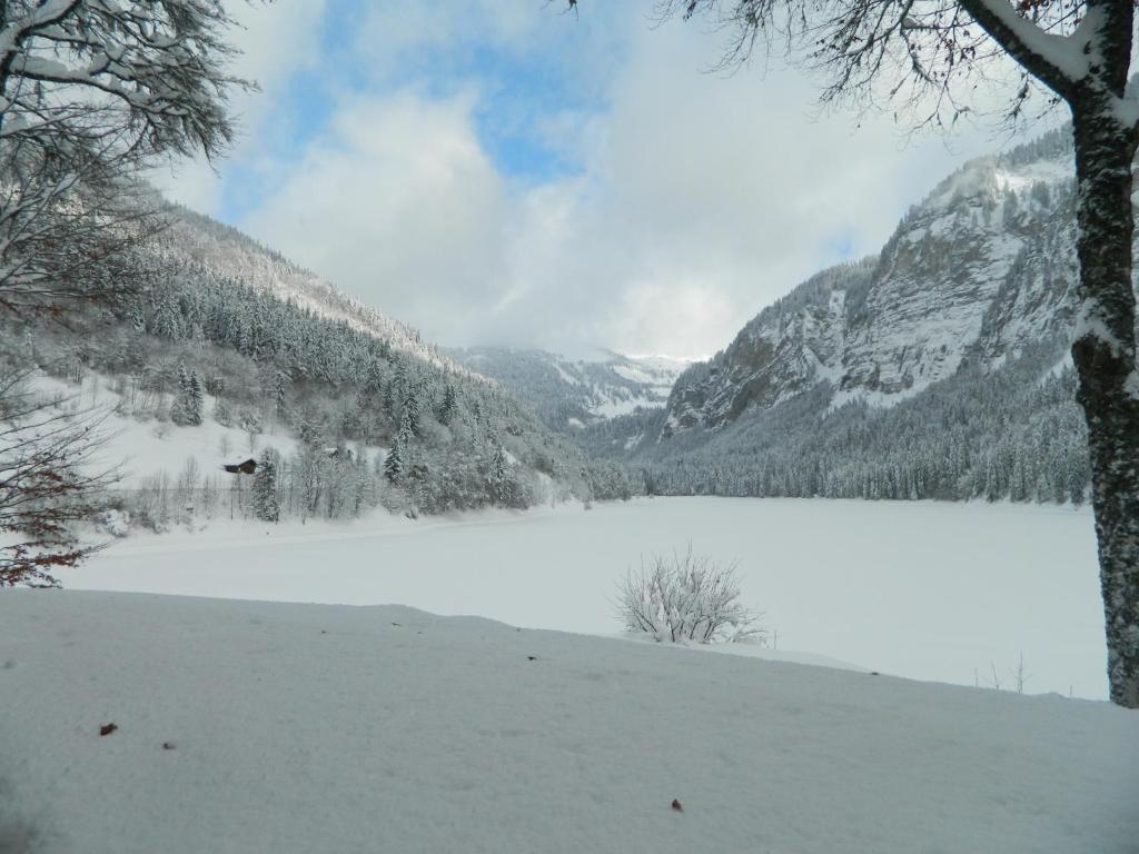 Logis Hotel Les Sapins Montriond Exterior foto