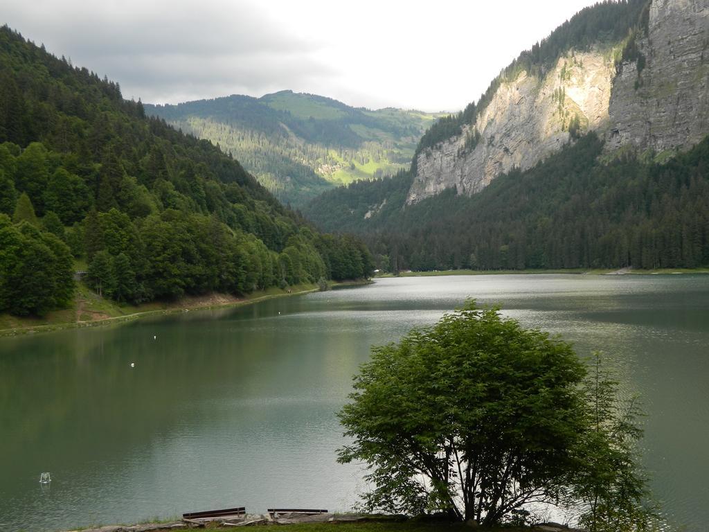 Logis Hotel Les Sapins Montriond Exterior foto