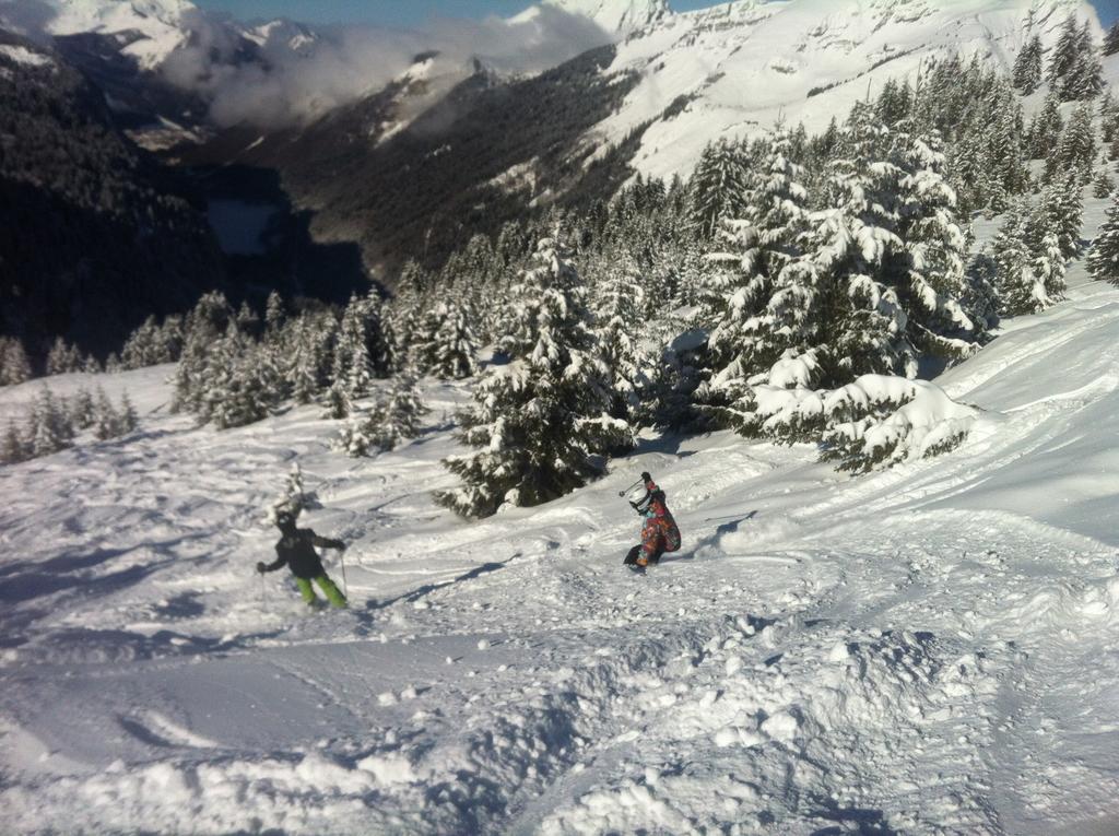 Logis Hotel Les Sapins Montriond Exterior foto